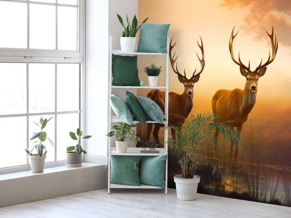 Gloire du matin Splendeur du cerf