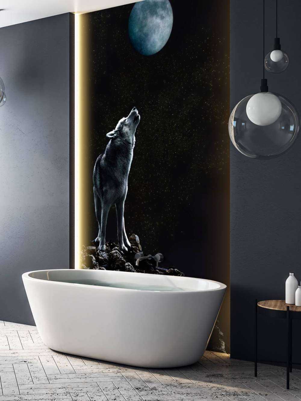 Appel de la lune Veilleur solitaire