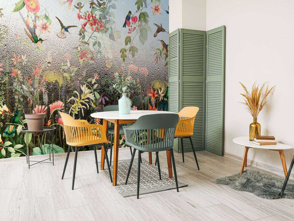 Paradis des Oiseaux Pluvieux