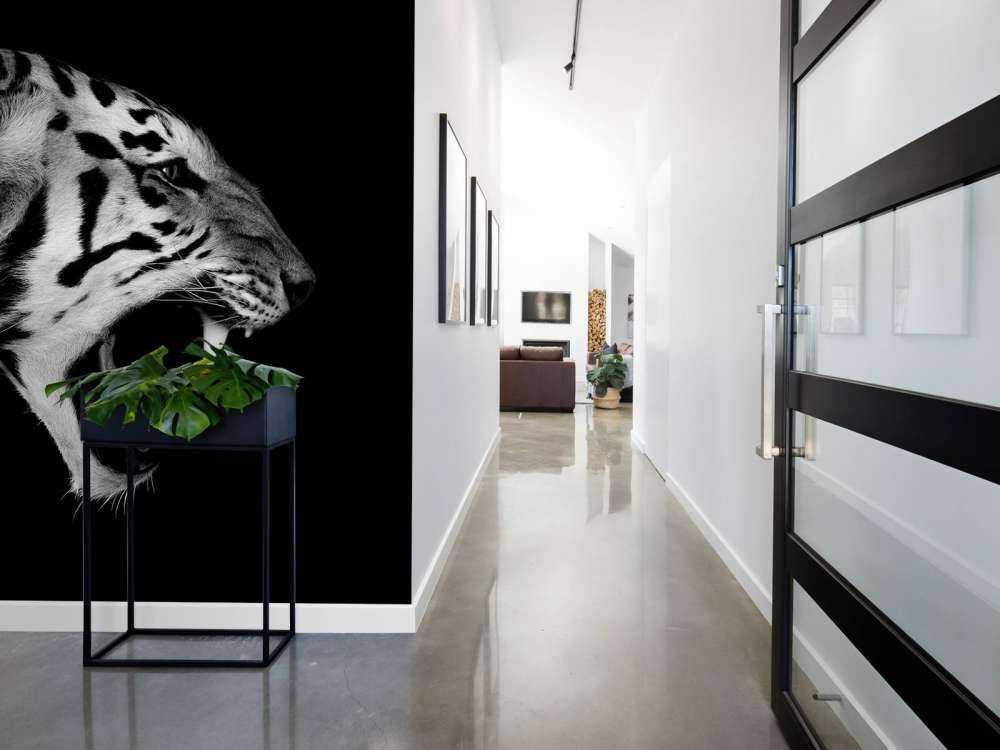 Tigre rugissant noir