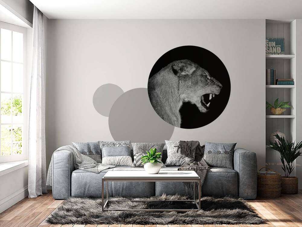 Lionne vue de côté noir