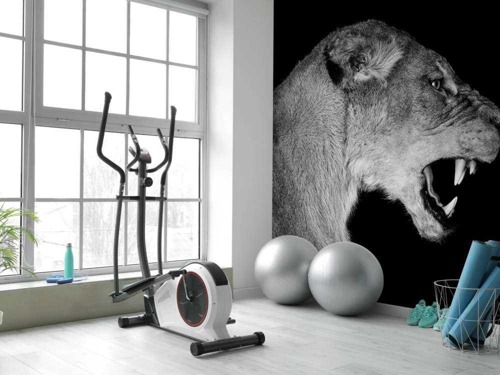 Lionne vue de côté noir