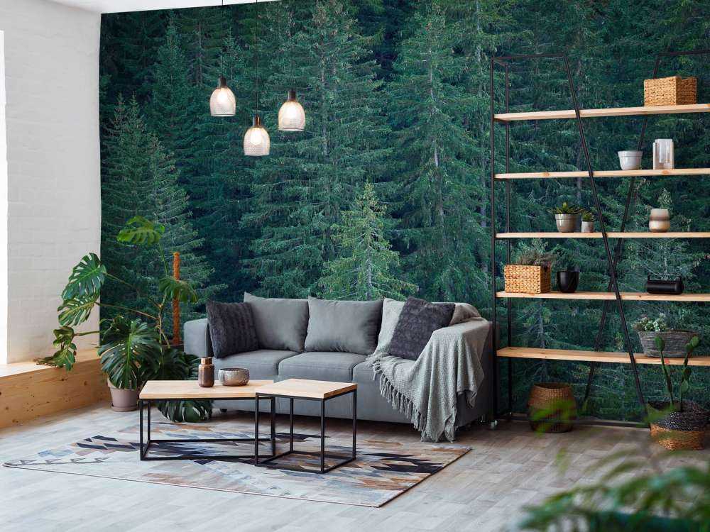 Conifères avec pommes de pin