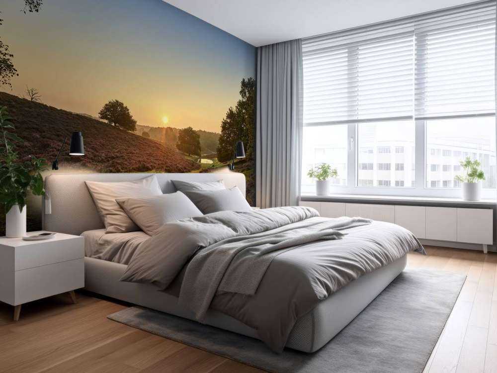 Flaque d'eau sur la lande