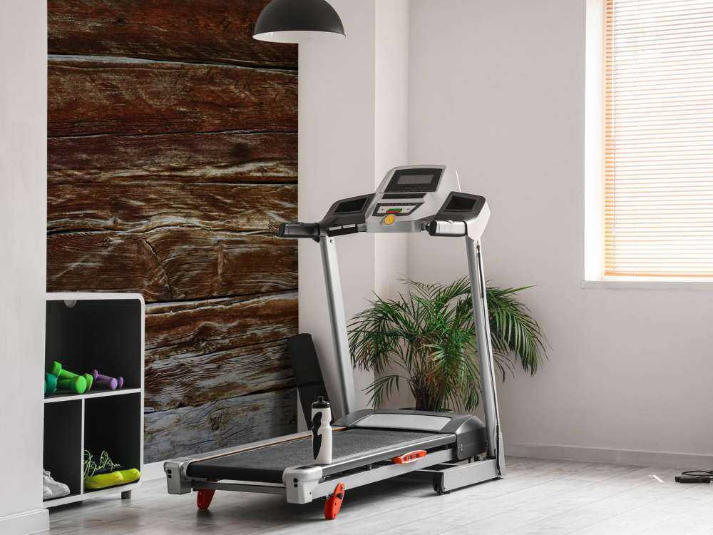 Fissures dans le bois