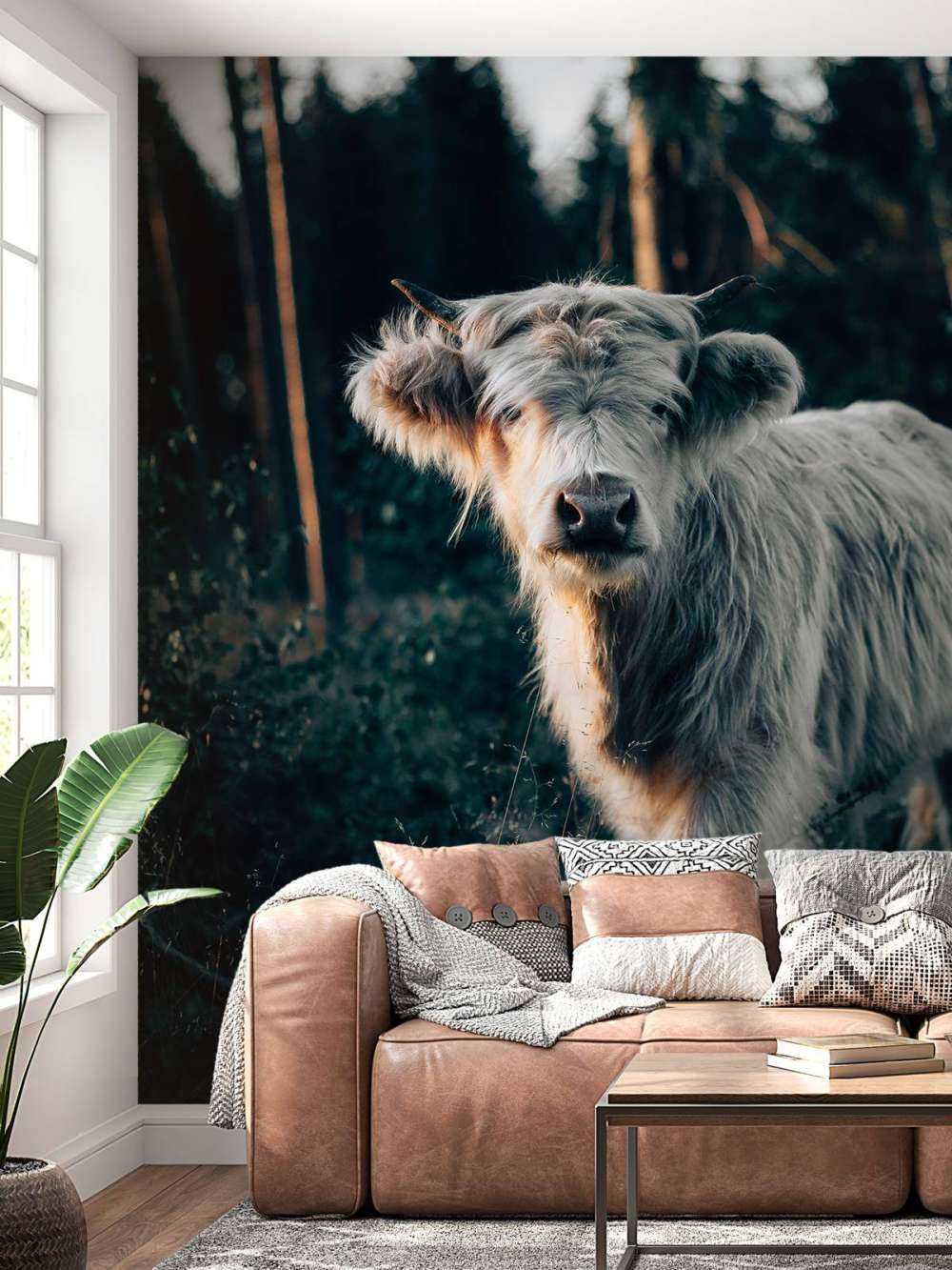 Louveteau écossais Highlander