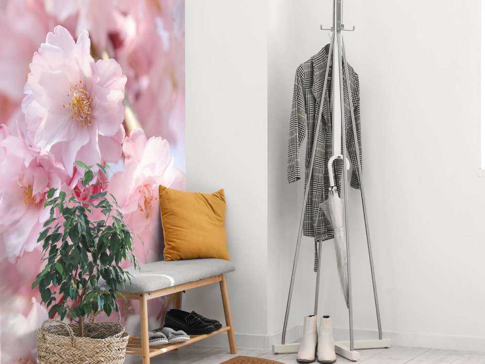 Gros plan sur des fleurs roses