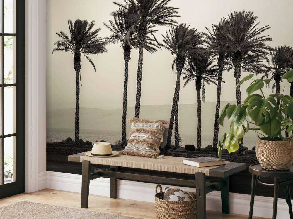 Palmiers noir et blanc