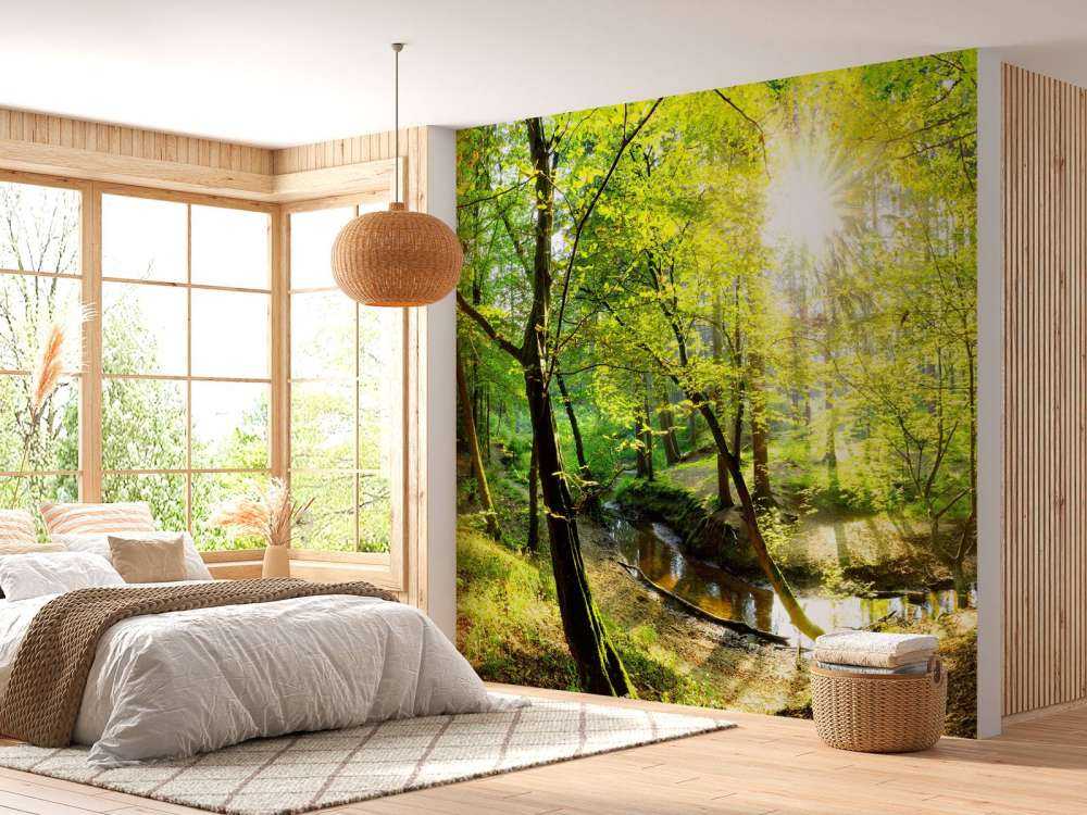 Forêt avec un ruisseau