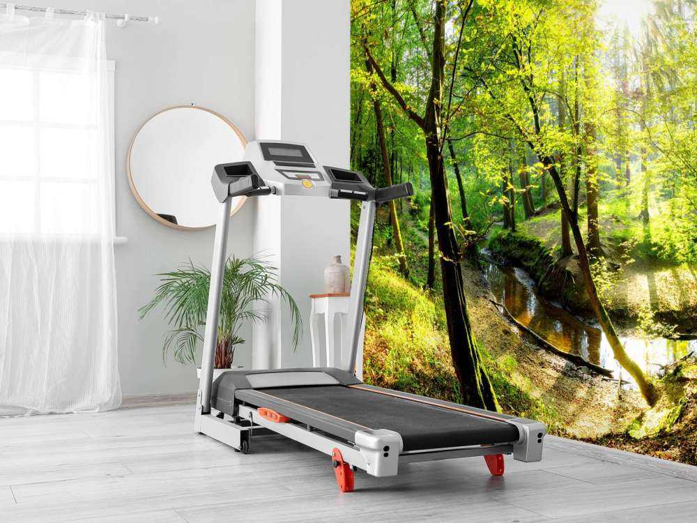 Forêt avec un ruisseau