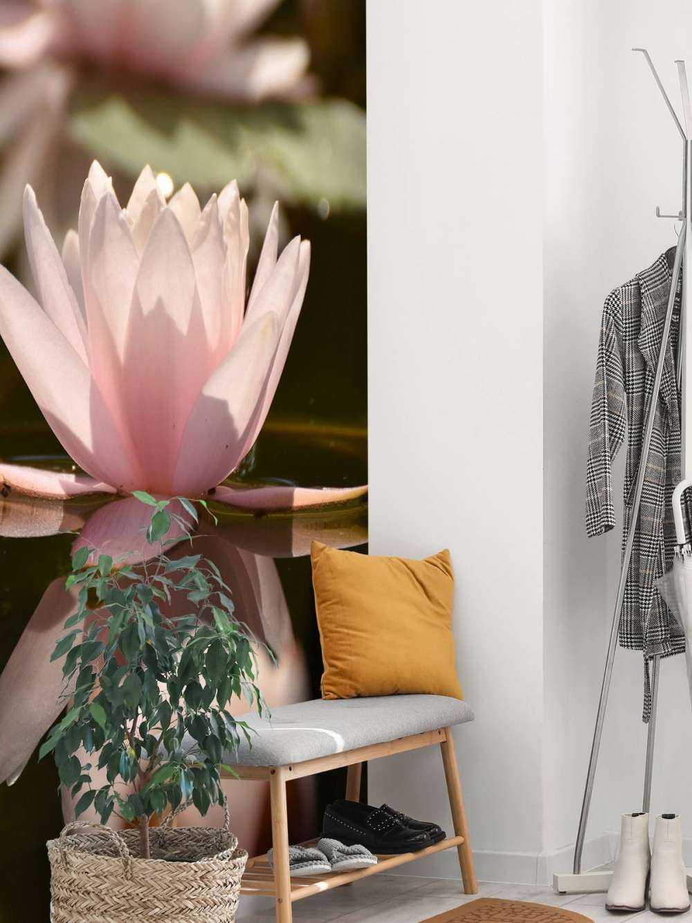 Fleur de lotus dans l'eau