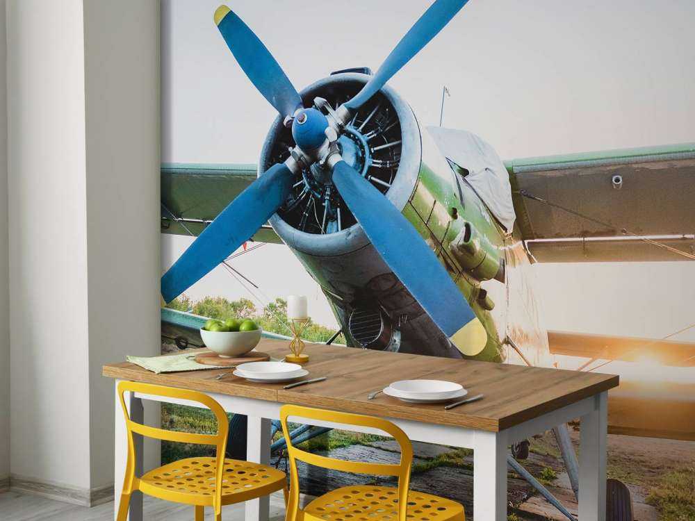 Petit avion privé monomoteur