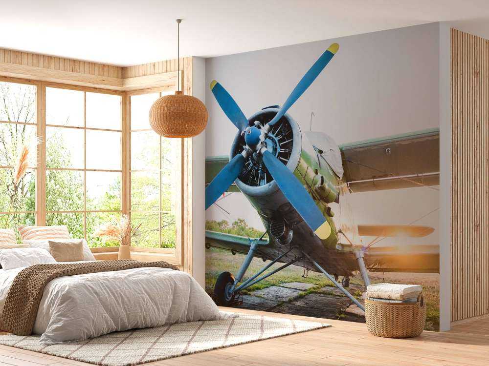 Petit avion privé monomoteur