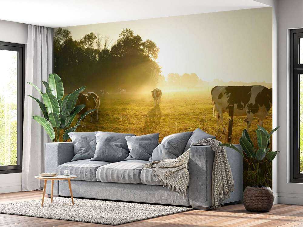 Vache au lever du soleil