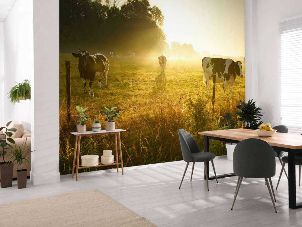 Vache au lever du soleil