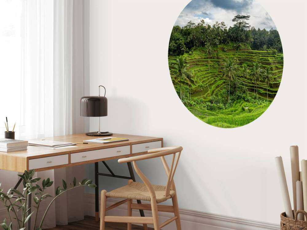 Les rizières thaïlandaises