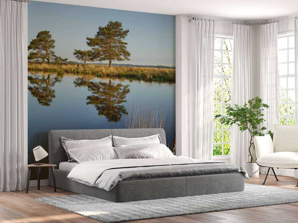 La forêt dans la lande