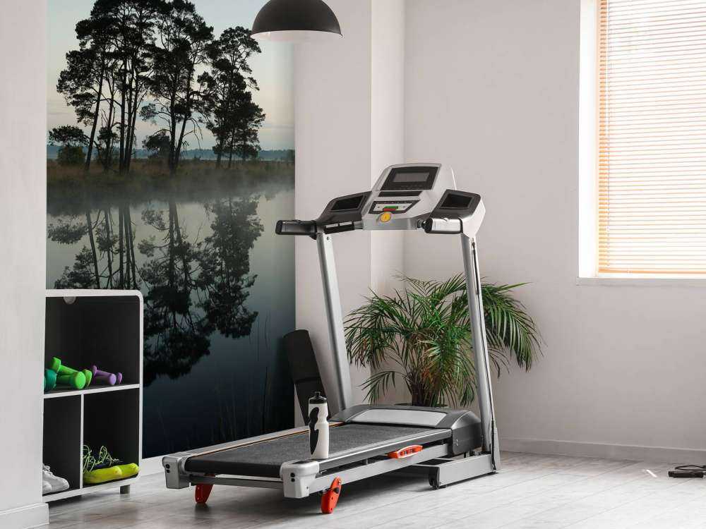 Les arbres le long des forêts