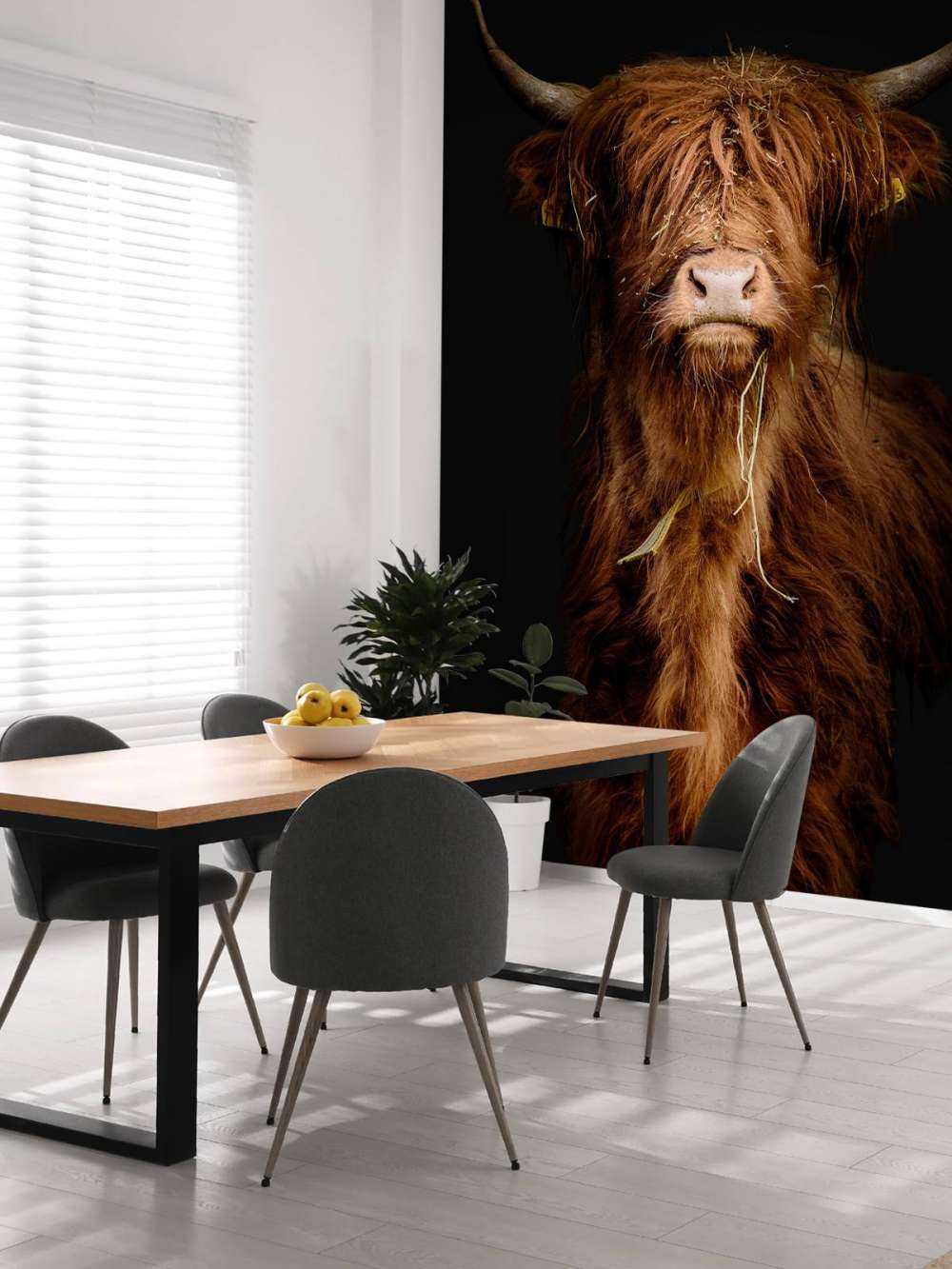 Portrait Scottish Highlander