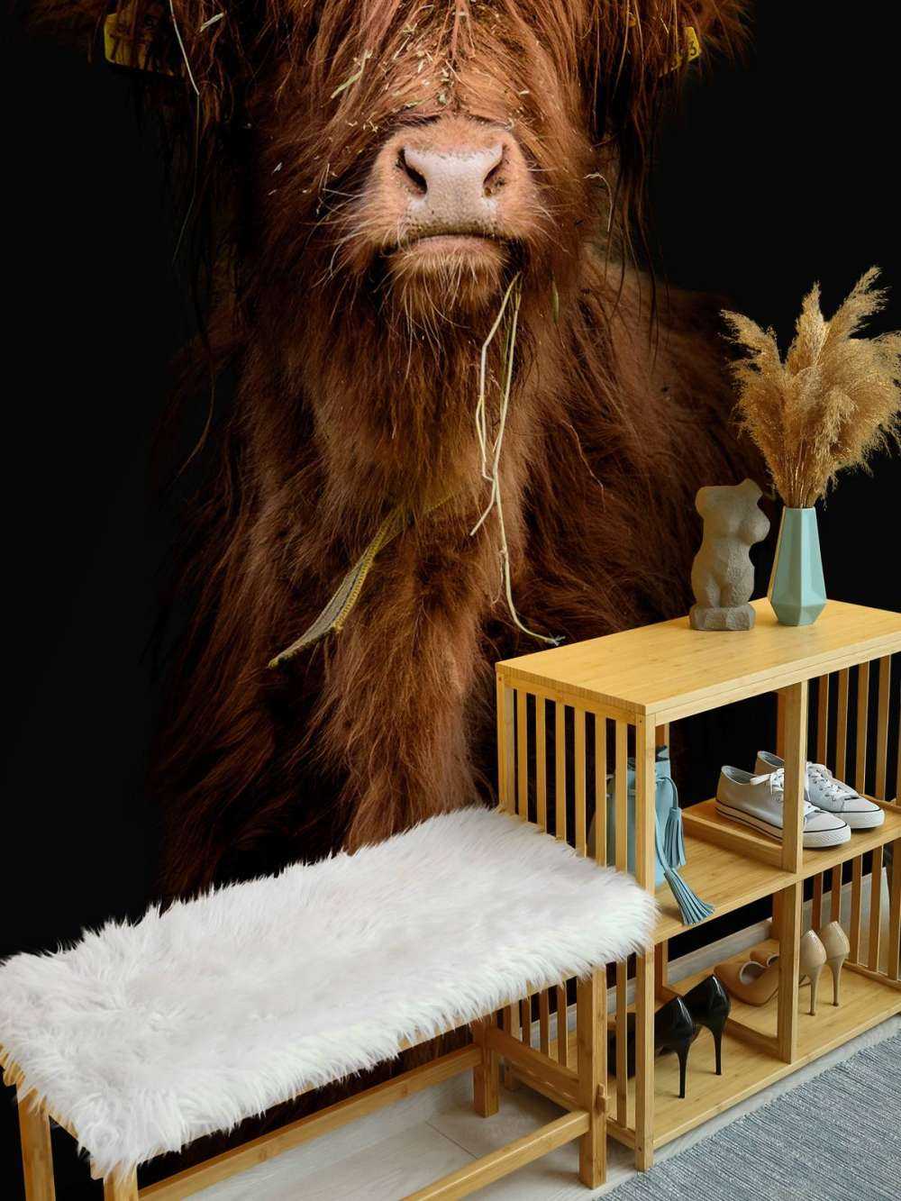 Portrait Scottish Highlander