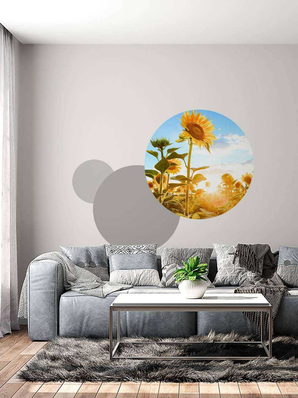 Tournesol avec ciel bleu