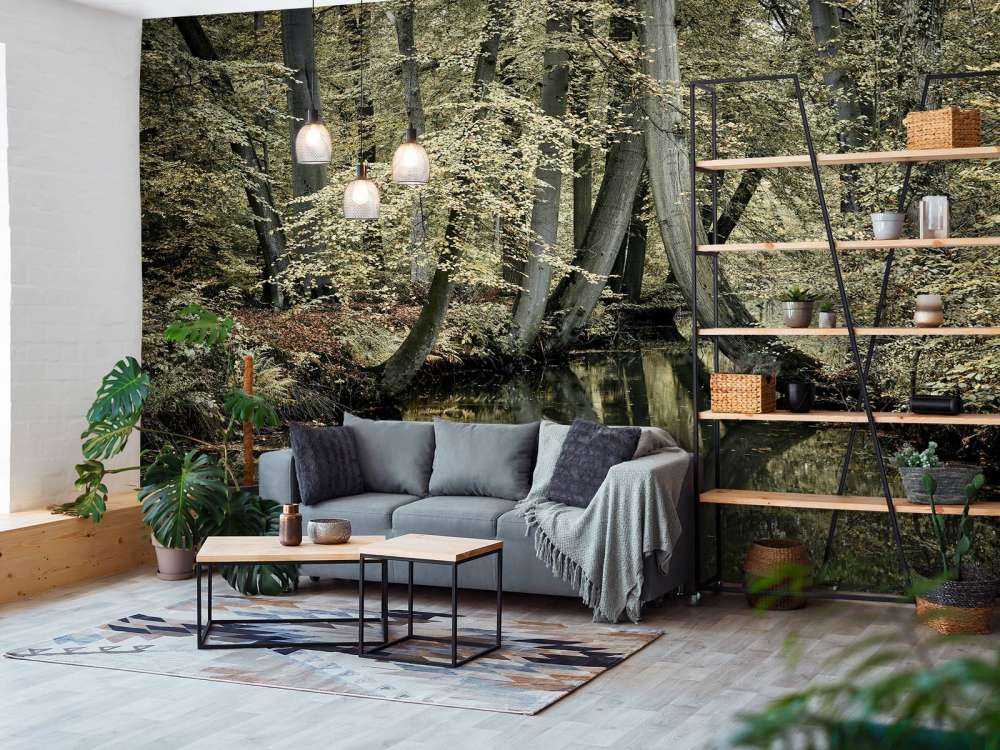 Ruisseau avec des arbres suspendus