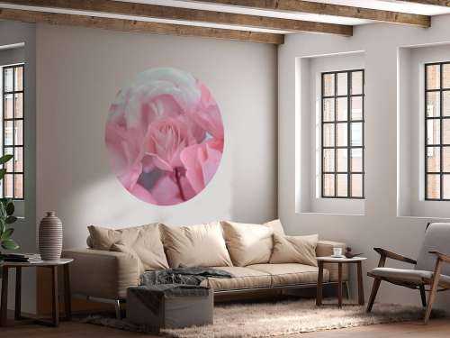 Fleurs de roses