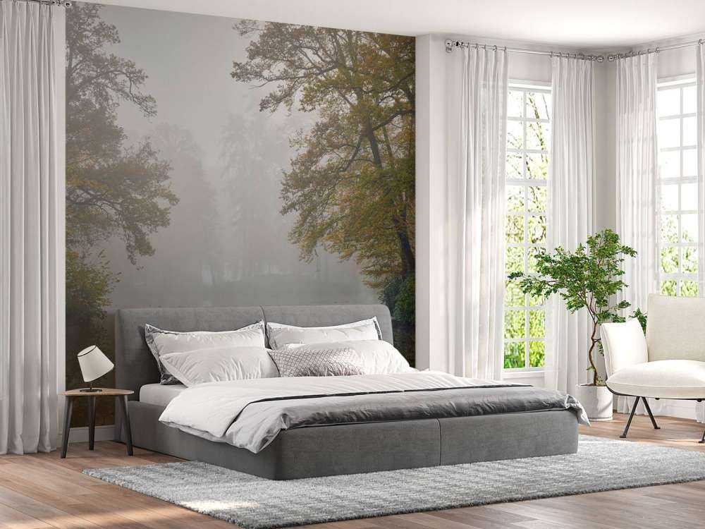 Étang de forêt dans la brume