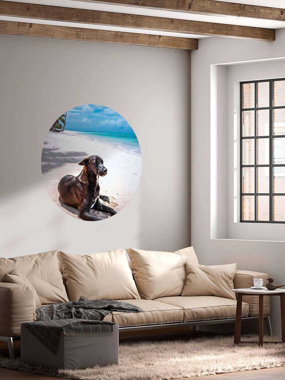 Chien noir sur une plage tropicale.