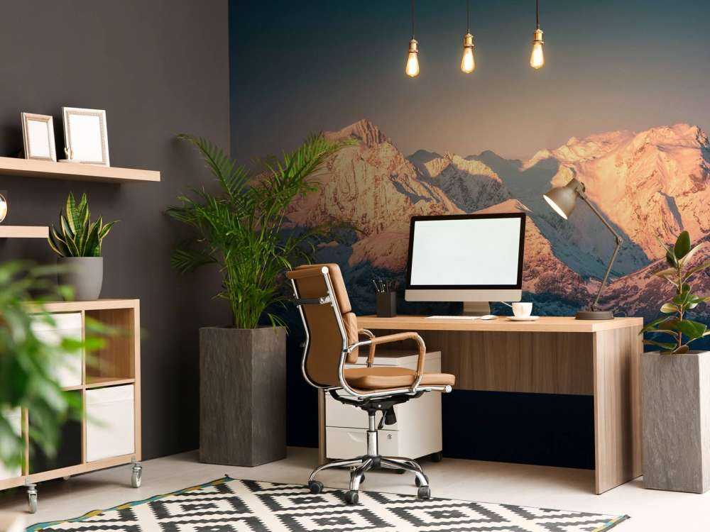 Lumière du matin sur les sommets enneigés.