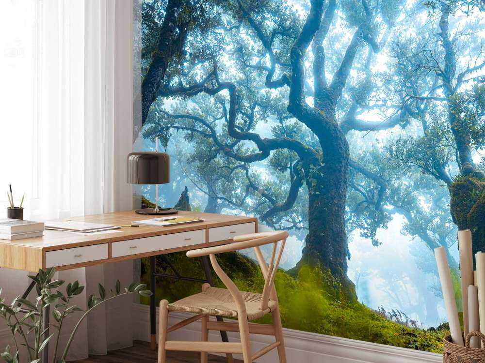 Forêt enchantée dans la brume du matin.