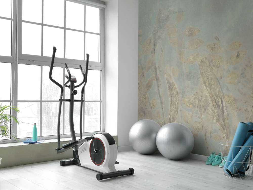 Schapenzuring et saule arbustif - vert sauge