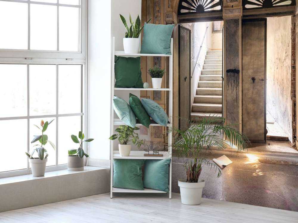 Maison de campagne abandonnée Entrée