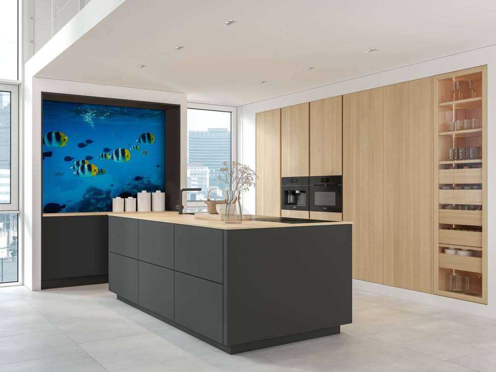 Poissons de récif tropicaux dans l'eau bleu clair