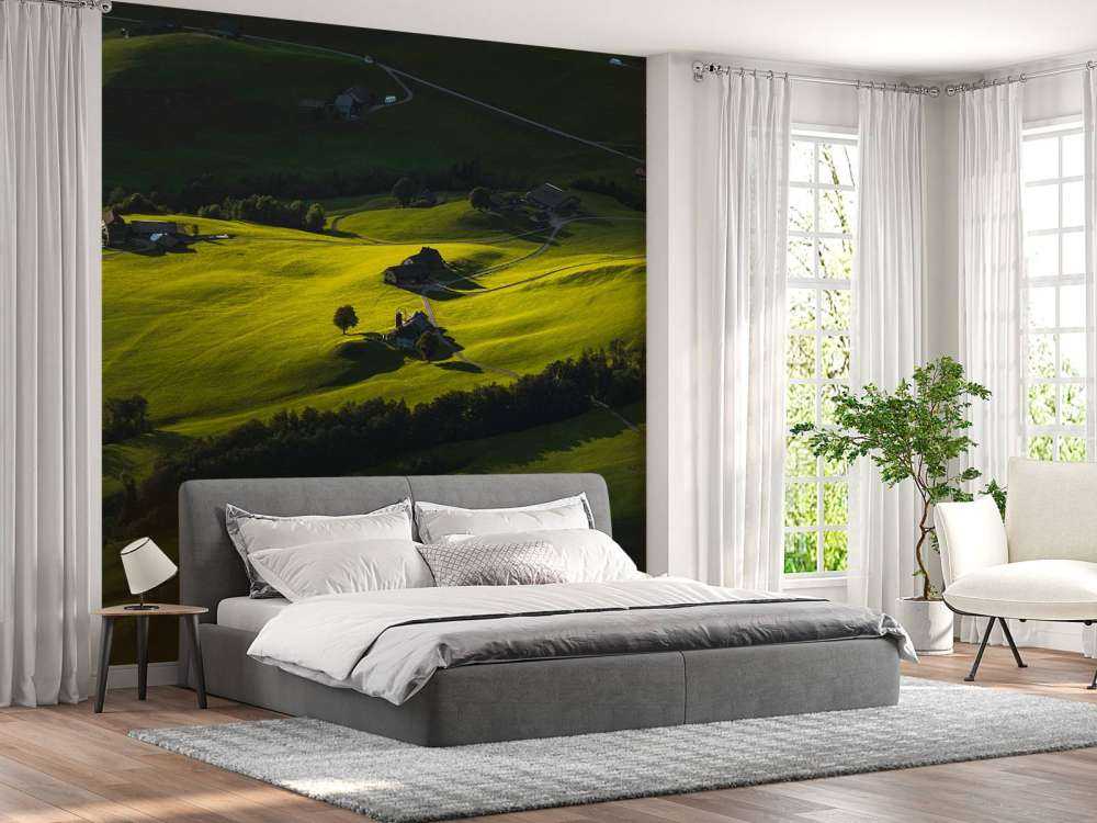 Collines vallonnées à la lumière du soir.