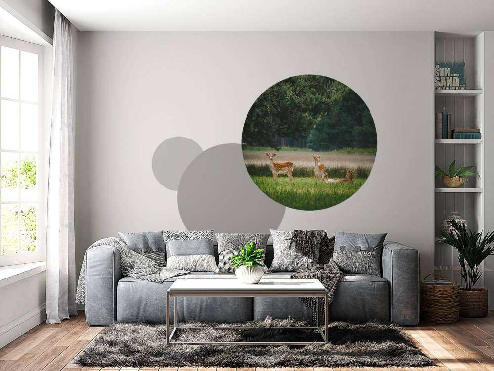 Vredige Weide avec des Chevreuils Sauvages