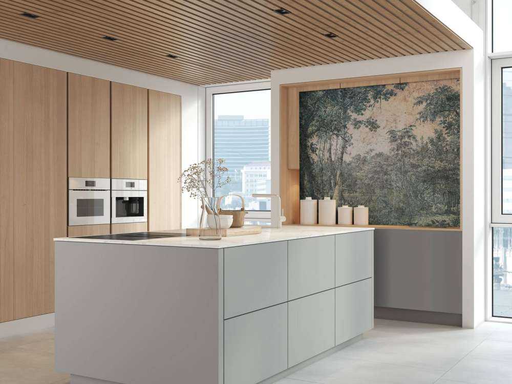 Panorama de forêt tropicale altérée