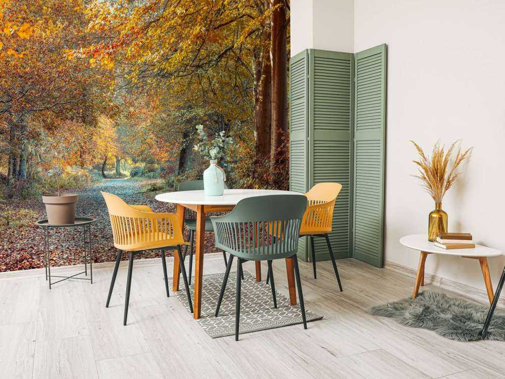 Forêt d’automne avec un feuillage doré