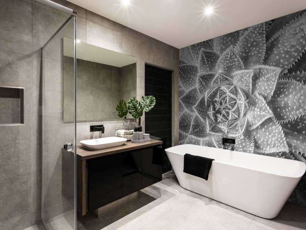 Gros plan sur succulente