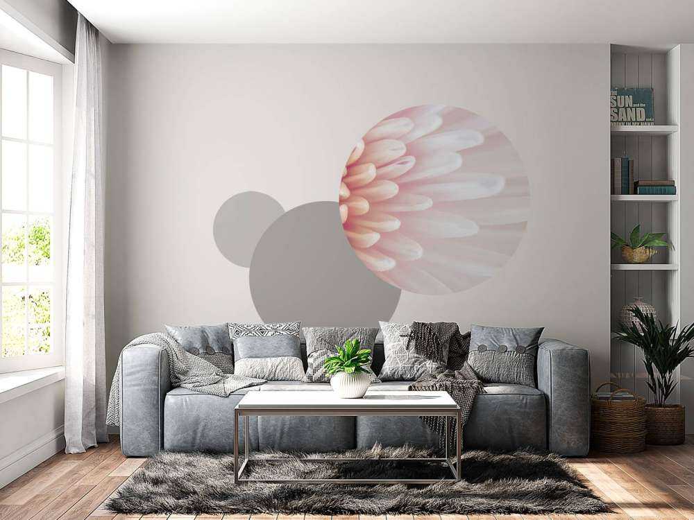 Chrysanthemum petals