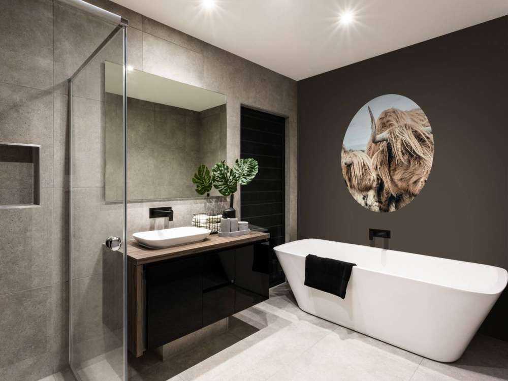 Deux Highlands écossais