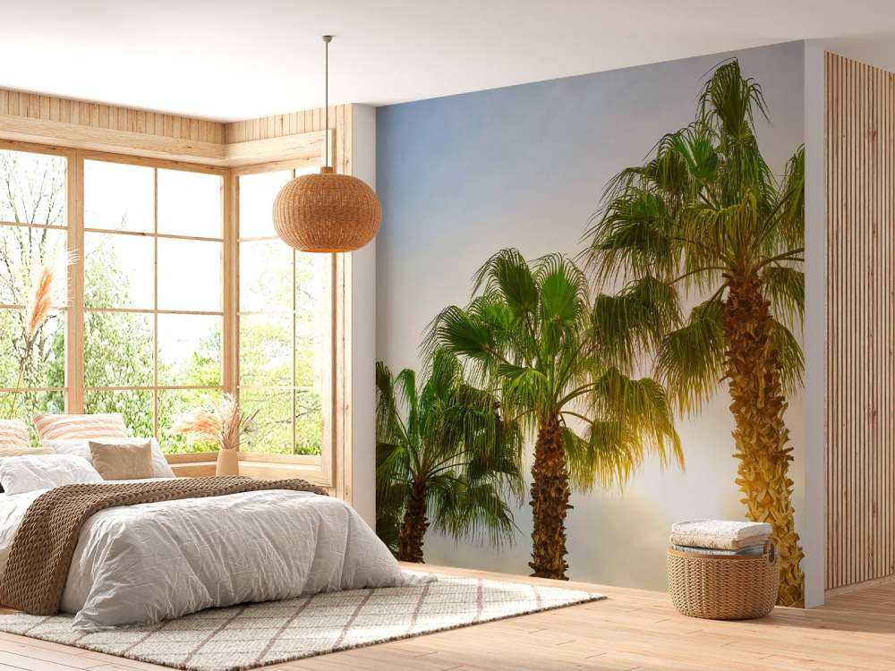 Des palmiers au soleil