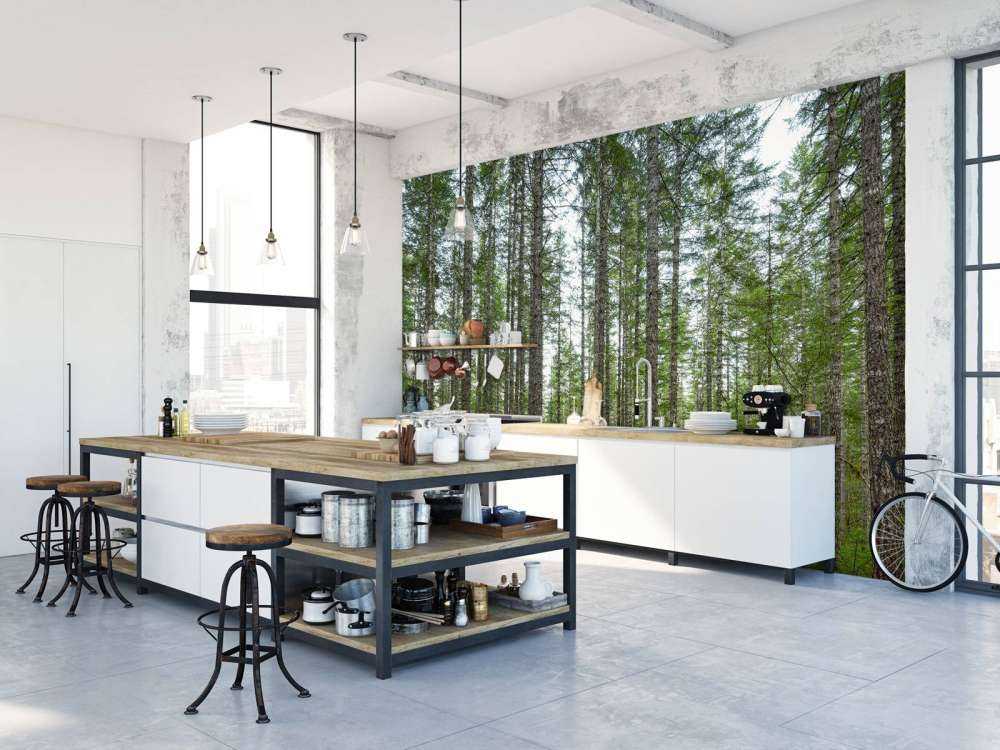 Arbres hauts et droits