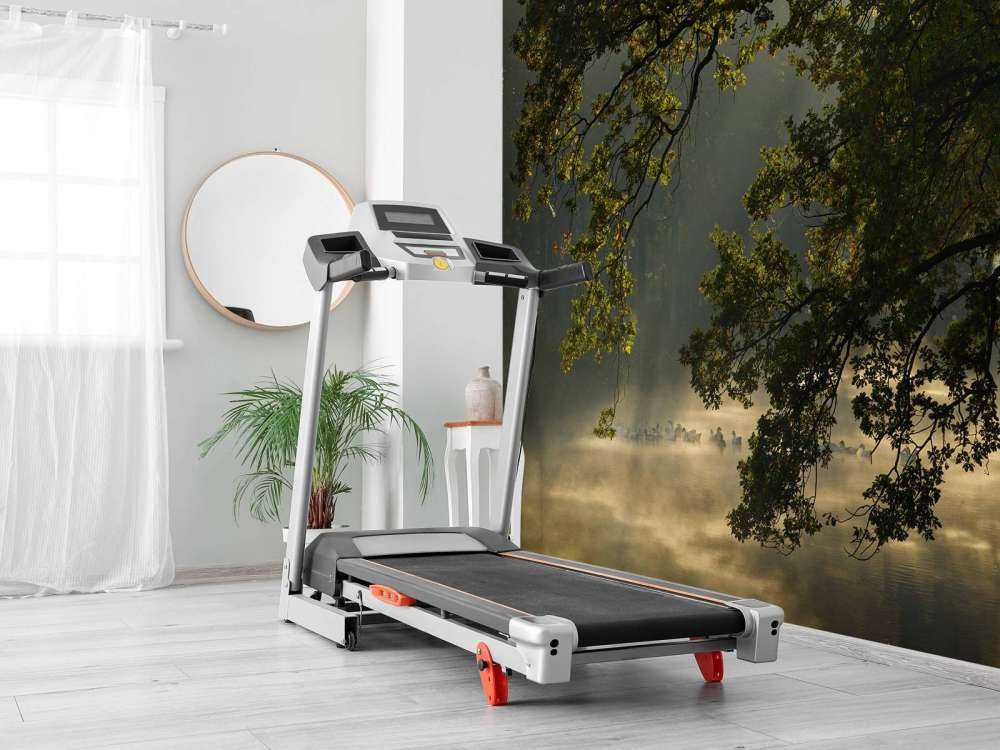 Branches en surplomb au-dessus de l'eau