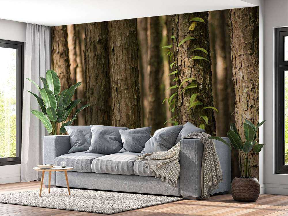 Troncs d'arbres minces