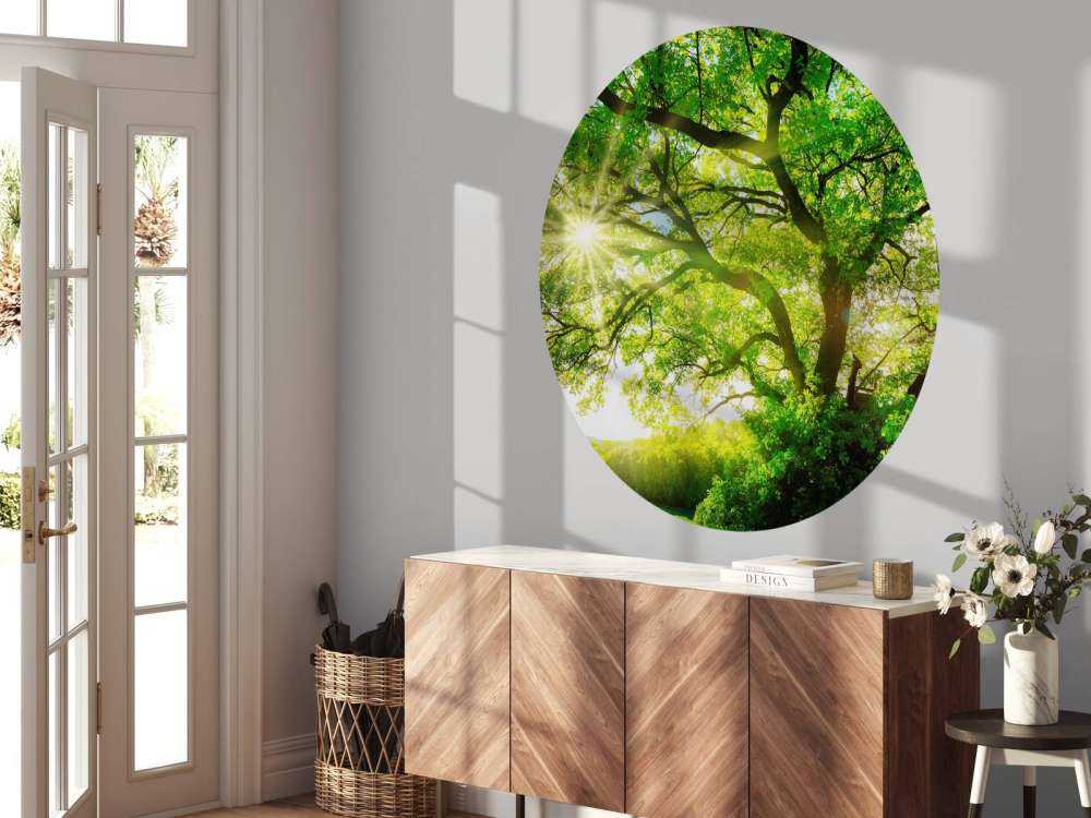 Arbre à rayons de soleil