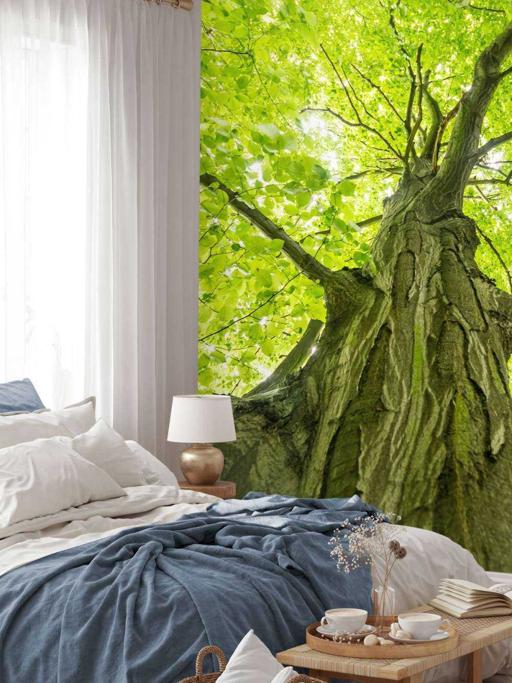 Grand arbre dans la forêt