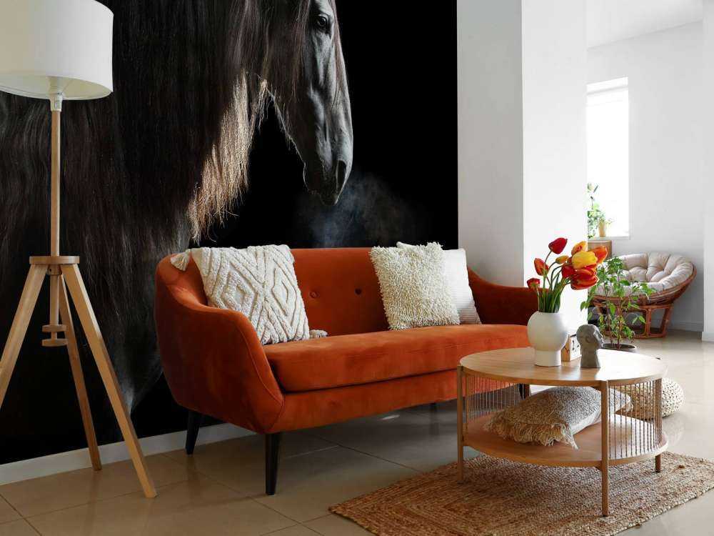 Cheval noir avec une robe grise