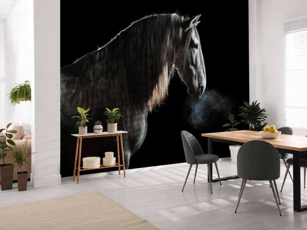 Cheval noir avec une robe grise