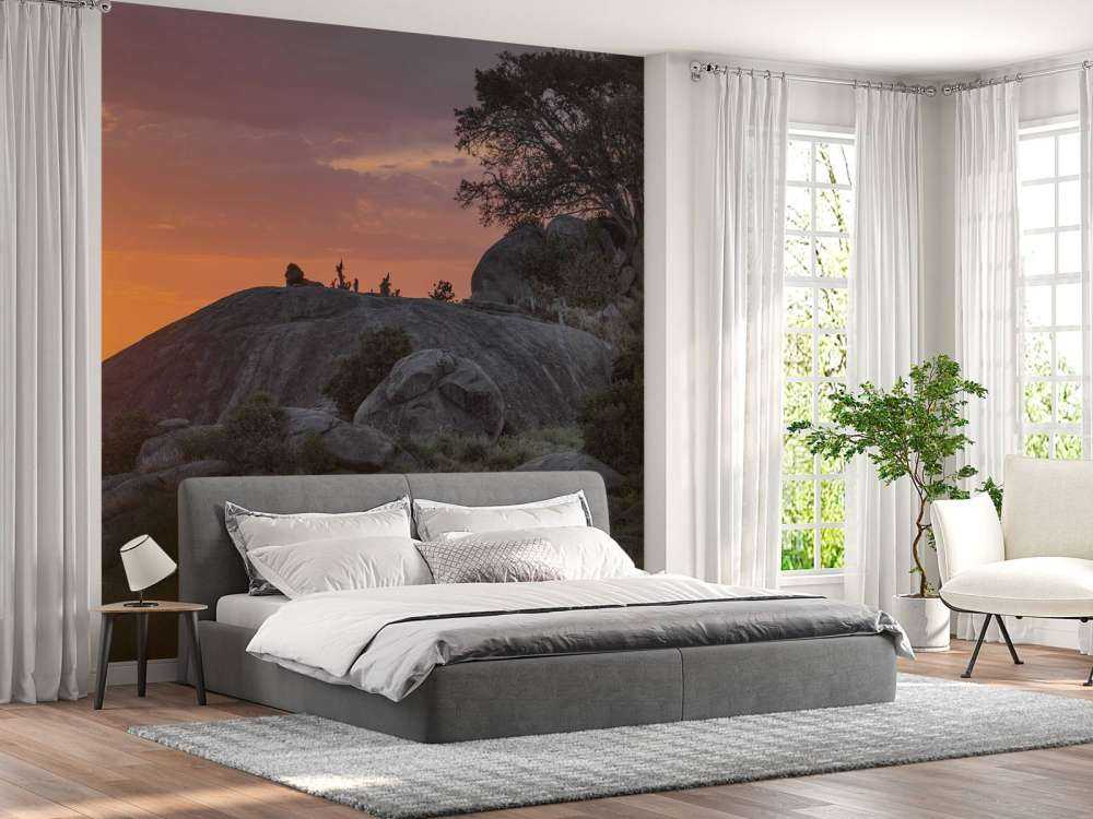 Coucher de soleil sur la savane